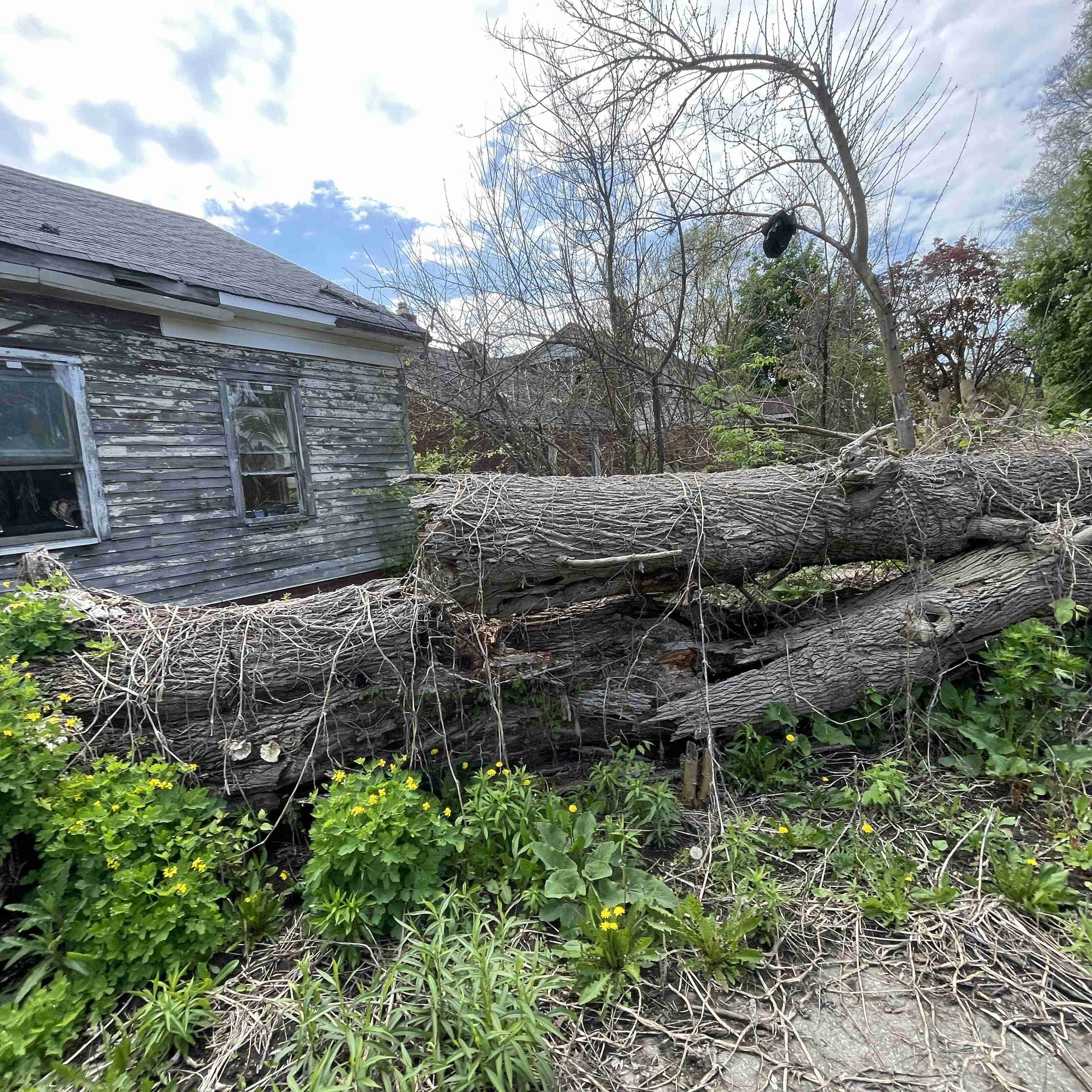 18653 Westphalia (22).jpg